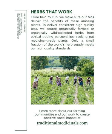 Buy Traditional Medicinals Organic Blood Orange Herbal Tea | Caffeine Free 14 Bags - Buy Online on GoSupps.com