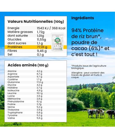 BIOFAIR NUTRITION - Vegan Vegetable and Organic Protein - Based on Organic Rice and Cocoa - Healthy 100% Natural and Responsible - 20 Doses of 25 Gr - 500 Gr - Buy Online on GoSupps.com