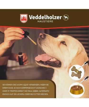 Veddelholzer 50 ml Natural Worm Liquid for Dogs - Effective Deworming Cure Against All Worms - Buy Online on GoSupps.com
