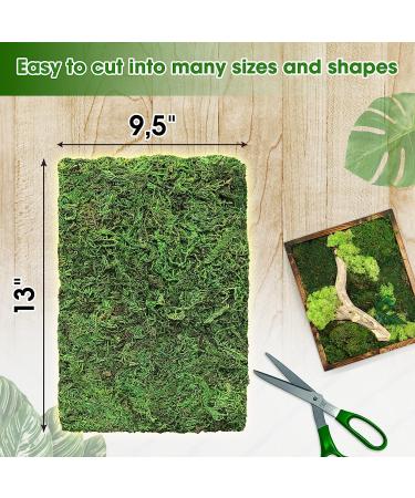 DUSPRO Moss Mat 2Pcs - Self Stick Moss for Crafts & Decor - 13x9.5 Inches - Ideal for Moss Wall Decor & Wedding Party - Green Sheet Moss - Buy Online on GoSupps.com