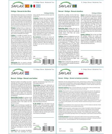 SAFLAX - Ginkgo - 4 seeds - Ginkgo biloba - Buy Online on GoSupps.com