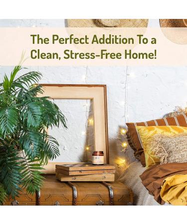 Soy Wax Candle - Palo Santo & Eucalyptus Aromatherapy for Stress Relief Chakra Balancing & Meditation - 9 oz - Buy Online on GoSupps.com