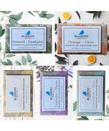 BlueByrd Soap Co. Exfoliating Essential Oil Soap Variety Set - 5-Pack Gift Box with Vegan Bars in Cucumber Mint, Lavender Thyme, Orange Clove, Seaweed Eucalyptus Scents - Buy Online on GoSupps.com