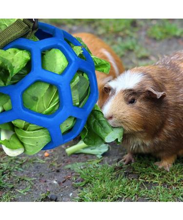 Hanging Hay Feeder Ball for Rabbits & Guinea Pigs - Pet Food Dispenser & Toy - Blue - Buy Online on GoSupps.com