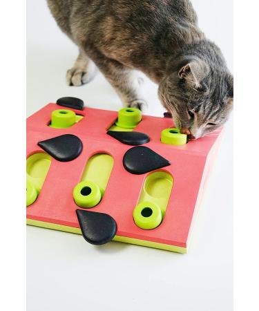 Petstages Nina Ottosson Melon Madness Interactive Cat Treat Puzzle - Buy Online on GoSupps.com