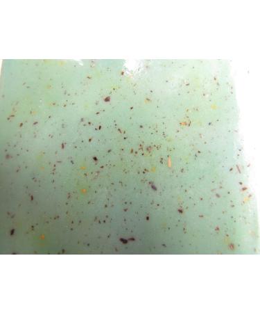 Paine's Balsam Fir Pure Vegetable Soap - 6 oz Exfoliating Bar | Maine-Made Natural Skincare - Buy Online on GoSupps.com