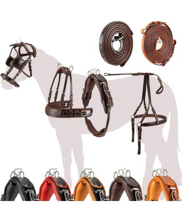 Esposita single -chipping "Professional" carriage dishes for Shetty pony and horse dishes for Minishetty to XL cold blood Routing dishes for one -time COB/VB Braun