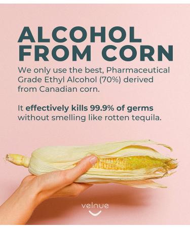 VELNUE Foaming Hand Sanitizer Refill Supply | Made in Canada with Moisturizing Aloe 70% Ethyl Alcohol Vitamin E | 1L Fragrance Free - 2 Bottles Fragrance Free 2-Pack - Buy Online on GoSupps.com