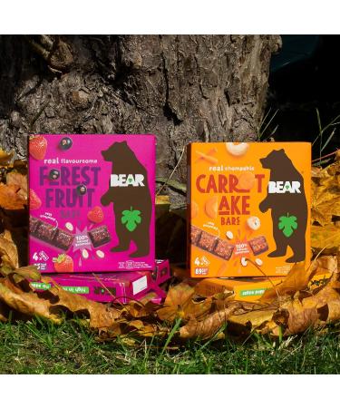 BEAR Carrot Cake Bars - Fruit Oat Nut - Healthy Snack - 27g (48 Count) - Buy Online on GoSupps.com