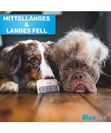 Bluepet Zauberkamm - Patented Rotating Comb for Long-Haired Dogs Cats & Humans - Effortlessly Removes Knots & Tangles - Buy Now! - Buy Online on GoSupps.com