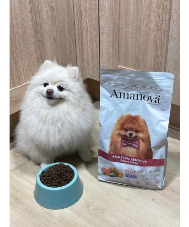 Amanova Super Premium Dry Dog Food for Small Breed Dogs with Sensitive Skin and Hair with Salmon Flavor - 100% Natural Hypoallergenic and Monoprotein - Grain Free - Cruelty Free (2 Kg) - Buy Online on GoSupps.com