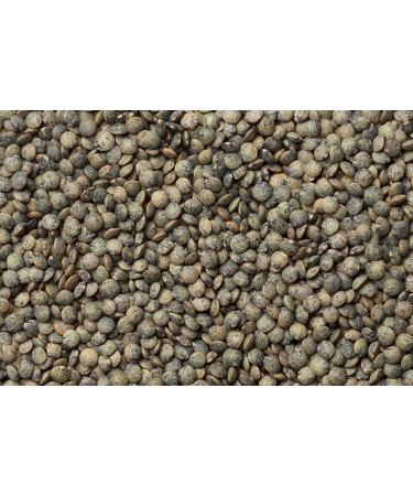 Organic French Lentils - 2 lbs (Pack of 1) | Hunza Lentils - Buy Online on GoSupps.com