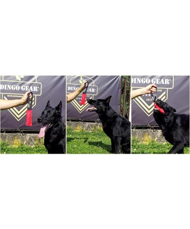 Dingo Gear Cotton Nylon Bite Sausage - Dog Training IGP IPO Obedience Protection - 15x5 cm Blue Handle (S00060) - Buy Online on GoSupps.com