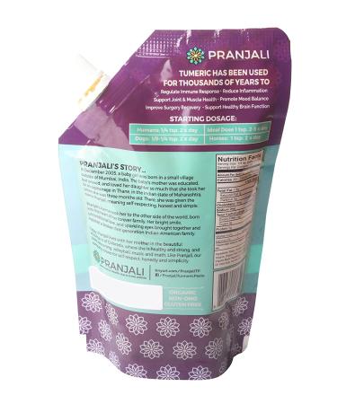 Pranjali Organic Turmeric Paste (Golden Paste) - Non-GMO, Gluten-Free, 6.7 oz - Buy Online on GoSupps.com