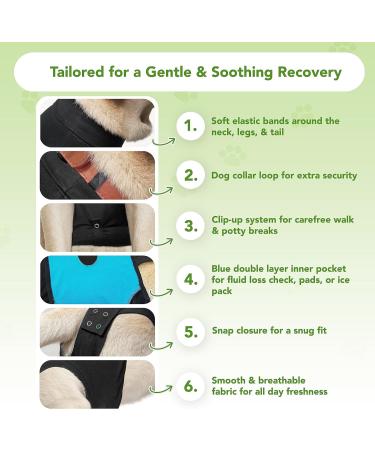 Buy Suitical Recovery Suit for Dogs - S+ Black | International Shipping Available - Buy Online on GoSupps.com