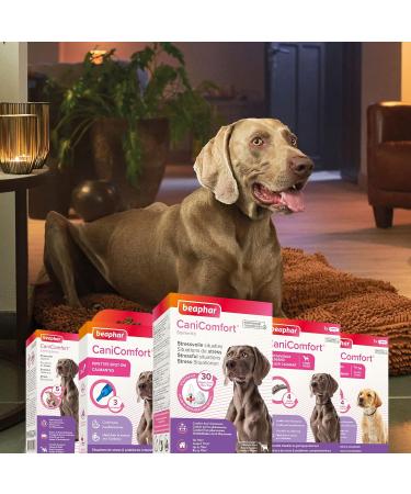 BEAPHAR CANICOMFORT - Calming pipettes with pheromones for dogs and puppies Reduces stress and unwanted behavior without dependence or drowsiness for up to 3 weeks 3 pipettes of 1 ml - Buy Online on GoSupps.com