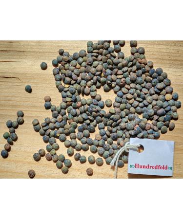 Hundredfold 2LBS Organic French Green Lentils - Non GMO Canada Grown Excellent for Muscle Builders Vegans & Vegetarians
