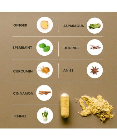 Acid & Indigestion Relief | Doctor-Formulated Antacid Alternative with Ginger Curcumin & Spearmint - 30 Servings - Buy Online on GoSupps.com