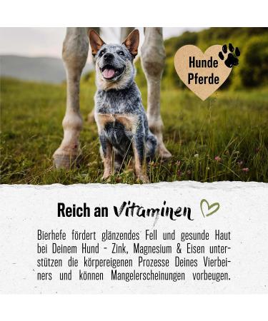 Alphazoo Beer Yeast Tablets for Dogs Cats & Rodents | Fur Care & Natural Anti-Tick | 50 Tablets - Healthy Skin & Shiny Fur - Buy Online on GoSupps.com