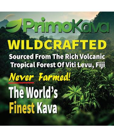 PRIMO KAVA Kava Capsules | Authentic Kava Kava from Fiji | Fast Acting Kava Extract | 100mg of Kavalactones | Adaptogenic Experience | Certified 3rd Party Testing | 30 Count - Buy Online on GoSupps.com