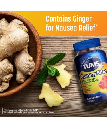 TUMS Plus Upset Stomach & Nausea Support Dietary Supplement Ginger Berry - 45 Count - Buy Online on GoSupps.com