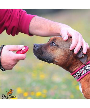 DogCatz Hybrid Dog Clicker and Whistle Training Train Your Pet Dogs and Cats in Obedience (Pink) - Buy Online on GoSupps.com