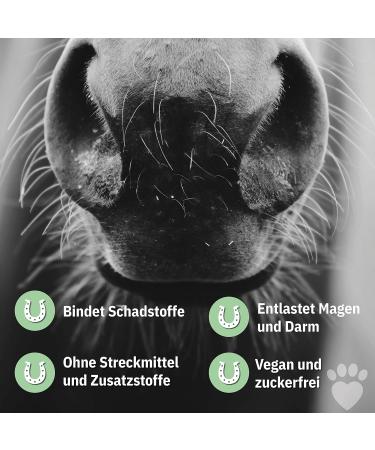 PETPLUS Zeolith Horse Powder 750g and 3kg 100% Organic & Natural No Preservatives Hypoallergenic Detox - Buy Online on GoSupps.com