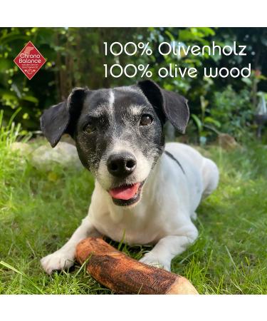 Shop Chronobalance Kielzeugen M - Olive Wood Chewing Treats for Dogs | Durable Dental Care Chew Bones | Natural Tooth Hygiene | International Shipping - Buy Online on GoSupps.com