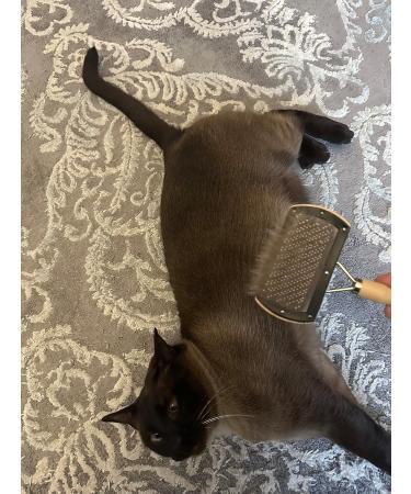 Premium Lambskin Brush for Gentle Care Perfect for Lambskin Fabrics | International Shipping - Buy Online on GoSupps.com