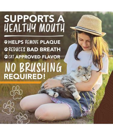 TropiClean Enticers Teeth Cleaning Gel for Cats - Honey Marinated Chicken Flavor 2oz - Dental Gel - Helps Remove The Source of Bad Breath and Plaque- Flavor Cats Love - No Brushing Honey Marinated Chicken 59 g (Pack of 1) Cats - Buy Online on GoSupps.com