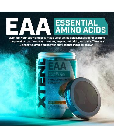 Buy XTEND EAA + BCAA Powder | Blood Orange | 10g Essential Amino Acids for Muscle Recovery & Growth | 40 Servings - Enhance Workout Performance - Buy Online on GoSupps.com