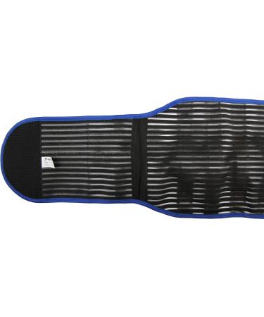 Protexx Waist Brace with Aluminum Alloy Stays - Adjustable Support for Back Pain Relief | International Shipping Available - Buy Online on GoSupps.com