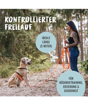 Rudelk nig 5m/10m Tow Leash for Dogs - Robust Weatherproof Leash with Grip Padding - Ideal for Dog Training - Neon Orange - Buy Online on GoSupps.com