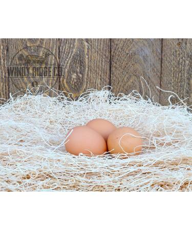 Windy Ridge Co. Chicken Nesting Pads - 10 Pack - USA Made Aspen Excelsior Bedding Liners | 13 x 13 - Buy Online on GoSupps.com