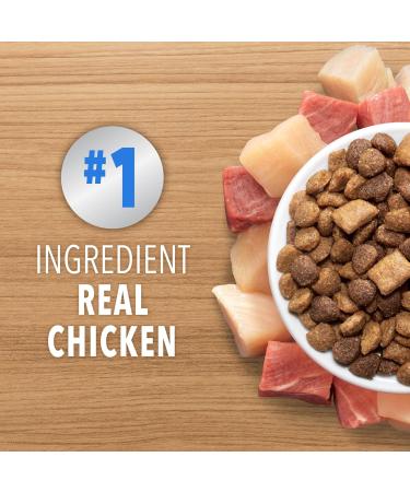 IAMS PROACTIVE HEALTH HEALTHY ENJOYMENT Adult Dry Cat Food Chicken & Beef Recipe 1.36kg Bag 1.36 kg (Pack of 1) - Buy Online on GoSupps.com