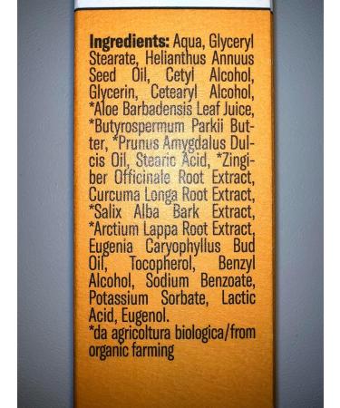 Buy Bioearth Curcuma & Ginger Ointment 50ml - Natural Pain Relief & Skin Care - Fast International Shipping - Buy Online on GoSupps.com