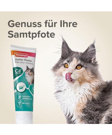 BEAPHAR Junior Paste for Cats (6 Weeks+) | With Calcium & Taurine | Supports Growth | 0% Added Sugar | 100g - Buy Online Now! - Buy Online on GoSupps.com