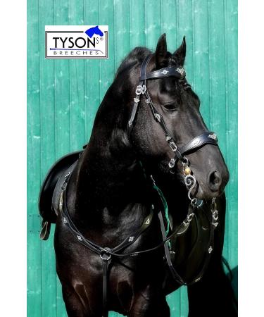 Jose Breastplate Show - Premium Portuguese Spanish Black Brown for WB XF XXF Calfblood - Tysons VB WB XF XXF - Shop Now! - Buy Online on GoSupps.com