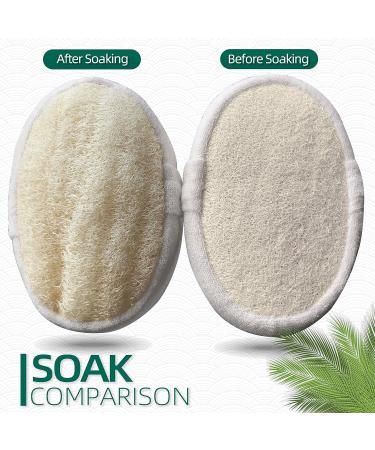 2 Pack Exfoliating Loofah Sponges - Natural Body Scrubber for Bath Spa Skin Care - Organic Men Women - Buy Online on GoSupps.com