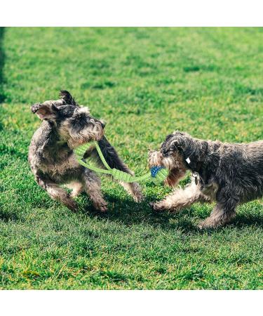 BOMPOW Puppy Teething Toys from 8 Weeks Interactive Dog Rope Toy Natural Cotton Dog Chew Toy 7 Packs  - Buy Online on GoSupps.com