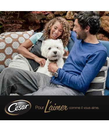 CESAR Dog Meals - Pack of 24 150g trays - Dog Pate in Garden Terrine (4 varieties) - Wet Food for Dogs Made with Natural Ingredients - Buy Online on GoSupps.com