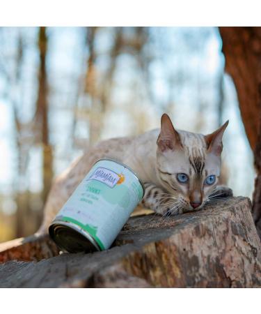 Mjamjam Premium Wet Cat Food - Insect & Juicy Chicken Grain-Free (6 x 400g) - International Shipping Available - Buy Online on GoSupps.com