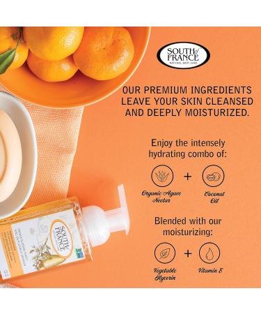 South of France Foaming Hand Soap 8oz - Orange Blossom Honey 3-Pack - Buy Online on GoSupps.com