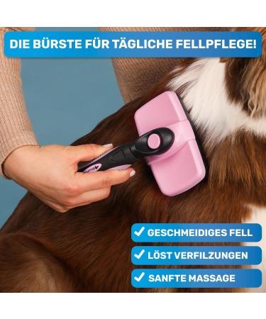 Bluepet 2023 Dog & Cat Brush - Gentle Undercoat & Knot Remover for Long-Haired Pets - Easy Clean Button - Daily Pet Grooming Tool in Blue & Pink - Buy Online on GoSupps.com