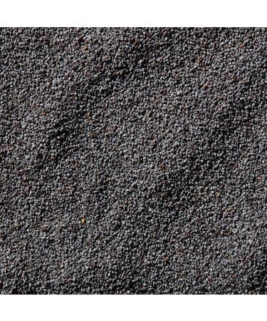 McCormick Poppy Seed 2.37 oz - Premium Quality Spice for Baking and Cooking - Buy Online on GoSupps.com
