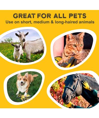 Pat Your Pet Hair Remover Glove - Effective Dog & Cat Brush for Easy Pet Grooming - Buy Online on GoSupps.com