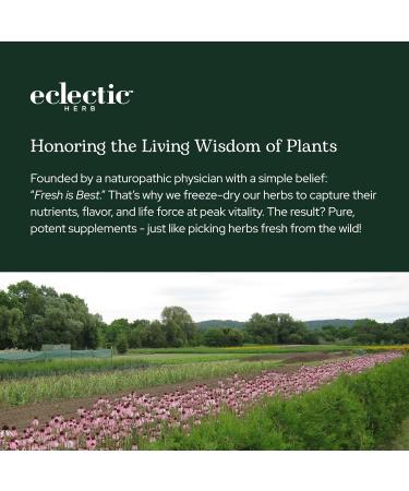 Eclectic Herb - HBP Complete Powder | Natural Blood Pressure Support + Cardiovascular Support | Heart Health | Hawthorn Beets Garlic Celery Juice | Vegan Non-GMO Gluten Free (3.2 oz | 90 g) - Buy Online on GoSupps.com