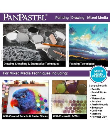 PanPastel 29215 Ultra Soft Artist Pastel in Pewter - 921.5 - Buy Online on GoSupps.com