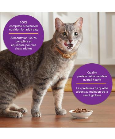 Meow Mix Wet Cat Food Tenders in Sauce Surf & Turf Favourites Variety Pack Pack of 48 Variety Pack 78 g (Pack of 48) - Buy Online on GoSupps.com