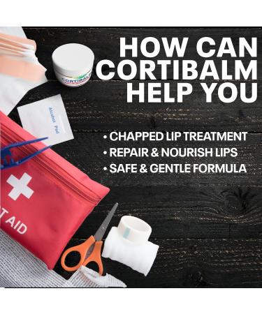 Dr. Dan's Cortibalm Jar - 1 Pack - for Dry Cracked Lips - Healing Lip Balm Jar for Severely Chapped Lips - Designed for Men Women and Children - 0.25 Ounce (Pack of 1) - Buy Online on GoSupps.com